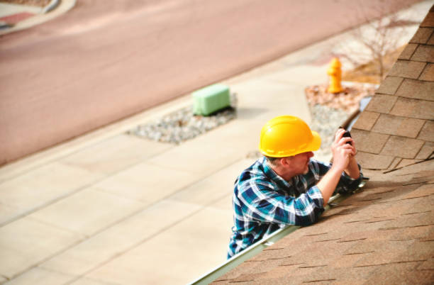 Roof Gutter Cleaning in Arlington, GA