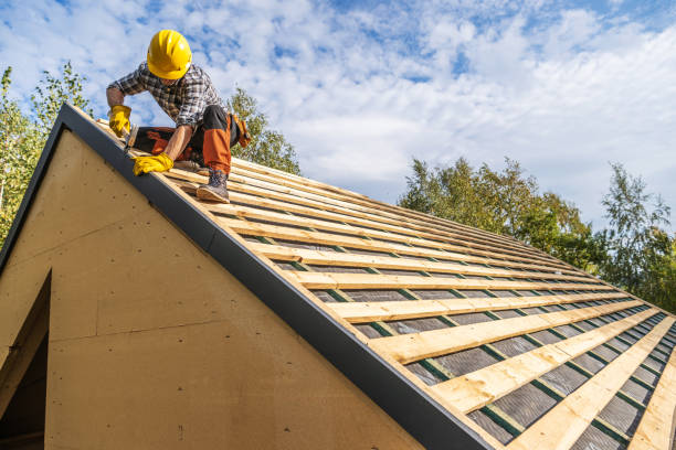 Best Roof Gutter Cleaning  in Arlington, GA